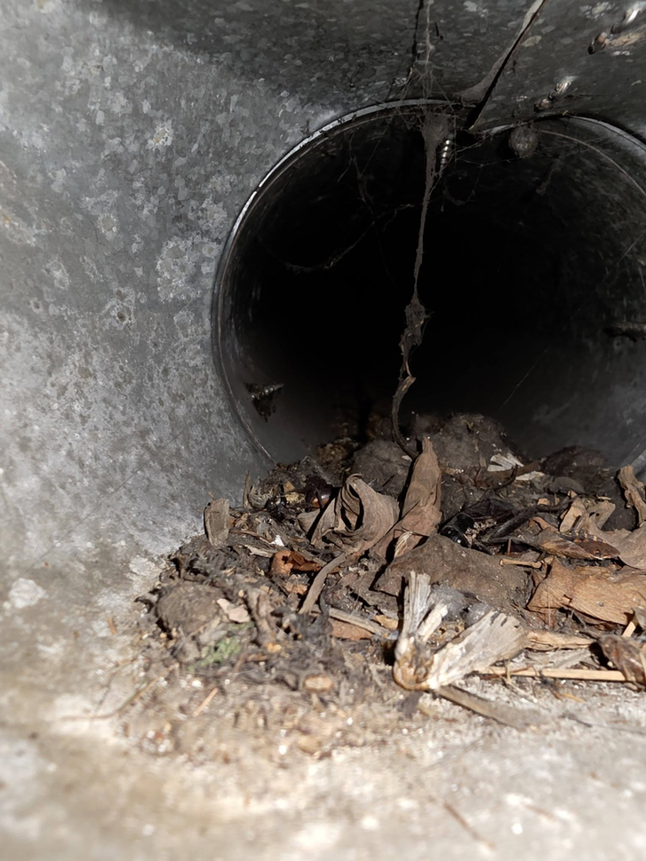 A severely clogged air duct filled with leaves and debris, requiring cleaning by Affordable Quality Air Duct Cleaning in Denver, CO