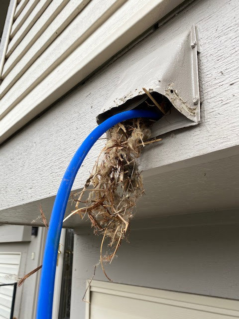 A severely clogged dryer vent on the exterior of a home, indicating a need for cleaning by Midwest Air Solutions in Indianapolis, IN
