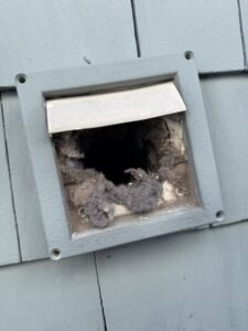 An exterior dryer vent opening heavily clogged with lint, demonstrating the need for cleaning by Boston Air Ducts Cleaning in Newton, MA.
