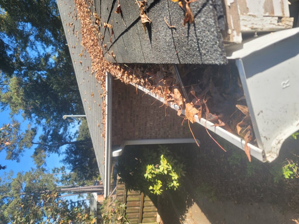 A clogged gutter filled with leaves and stagnant water, a common mosquito breeding ground, inspected by Stokes Mosquito and Pest Services in North Augusta, SC.