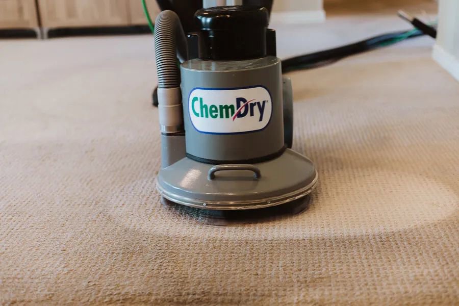 A close-up of a Chem-Dry cleaning machine working on a carpet, showing a clean path by Chem-Dry of Seattle in Seattle, WA