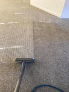 A close-up of a carpet cleaning tool showing the clear difference between cleaned and uncleaned carpet by Harper's Carpet & Upholstery Cleaning in San Antonio, FL.