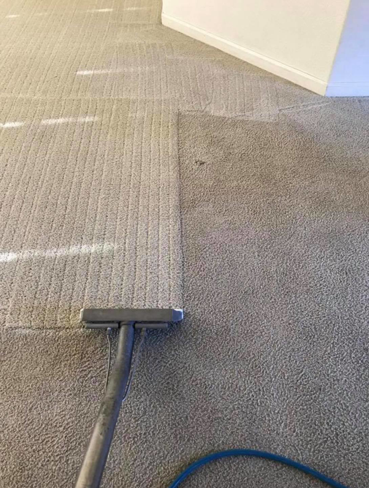 A close-up of a carpet cleaning tool showing the clear difference between cleaned and uncleaned carpet by Harper's Carpet & Upholstery Cleaning in San Antonio, FL.