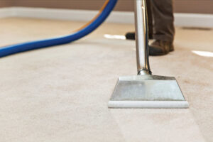 Close-up of a carpet cleaning wand creating a clean stripe on carpet by Evolution Carpet Cleaning in Fresno, CA