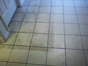 A close-up view of a professional carpet cleaning wand handle used by United Carpet Cleaning in Taylorsville, UT.