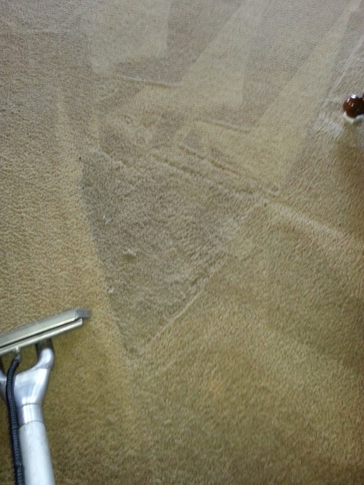 A close-up view of a carpet cleaning wand in action, demonstrating the deep cleaning process by Steam Solutions Carpet Cleaning in San Antonio, TX.