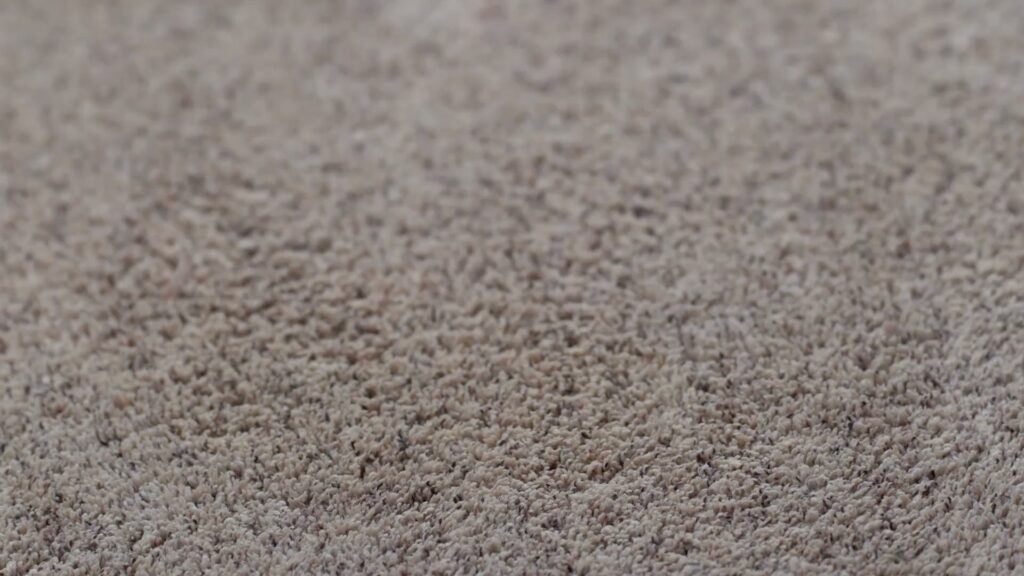 A close-up view of soft, durable carpet texture from Big Red Flooring in Omaha, NE