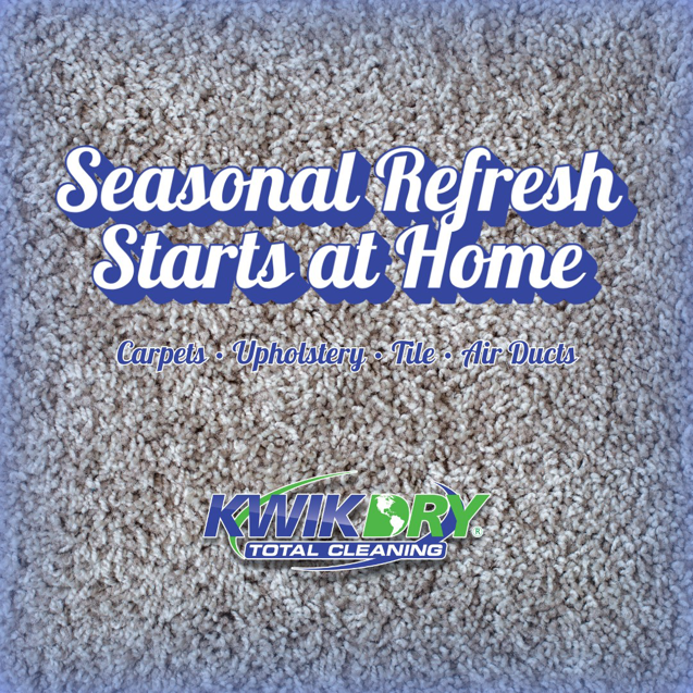 A close-up view of clean carpet texture, promoting seasonal refresh services including carpets by Reno Kwik Dry Total Cleaning in Sparks, NV.