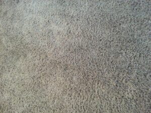 Close-up of clean carpet texture, showcasing quality work by JR Professional Carpet Cleaning Business LLC in Spokane, WA.