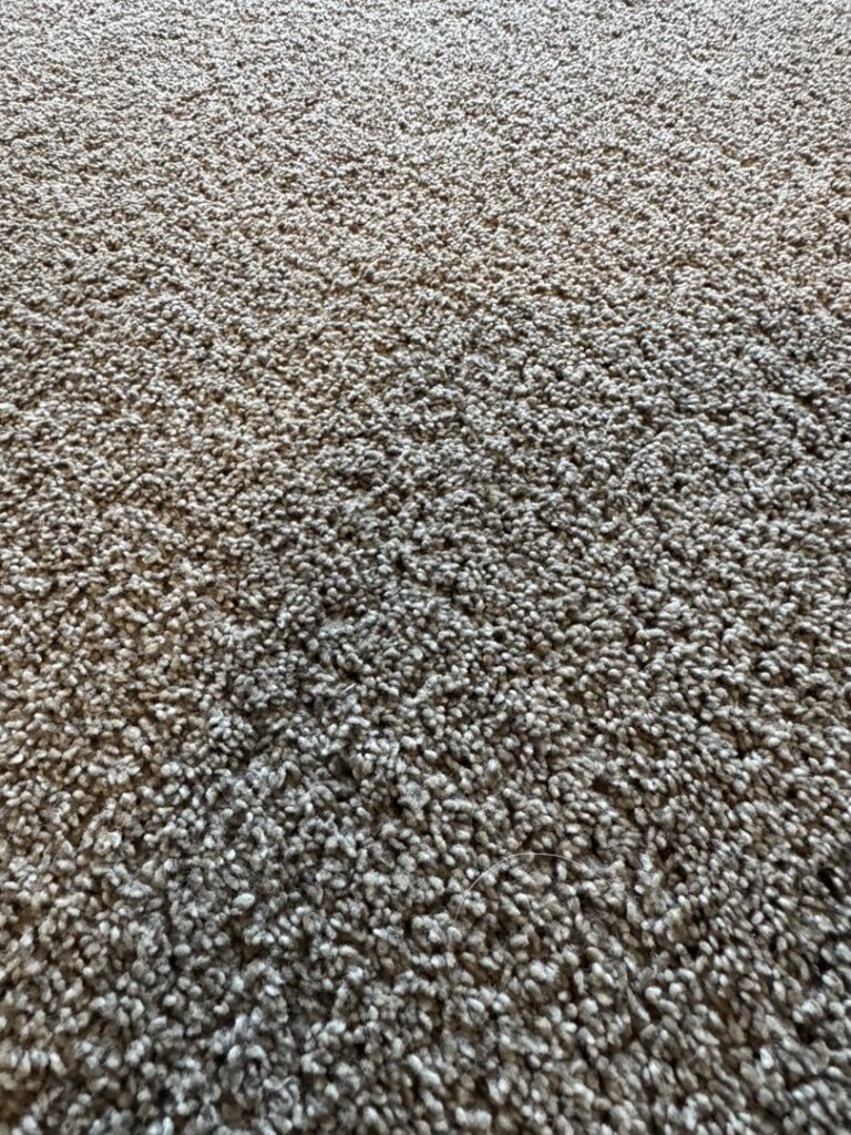 A close-up view of a clean, textured carpet, highlighting the quality of work by Extra Mile Floor Care in Mesa, AZ.