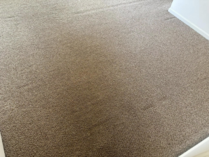 Close-up view of a clean, textured carpet, demonstrating quality work by The Gold Standard Carpet Cleaning in Kansas City, MO.
