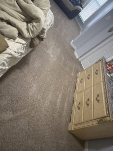 A close-up view of freshly cleaned carpet showing distinct cleaning lines by Reynolds Carpet Care in Henrico, VA.