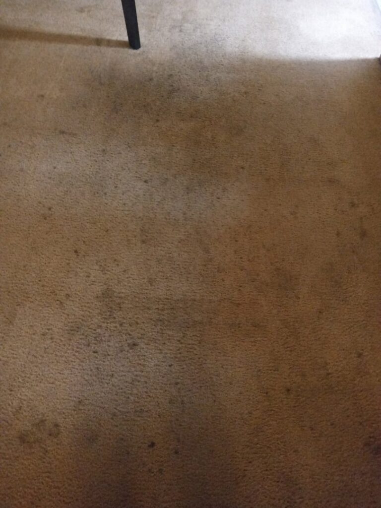 A close-up view of a dirty and stained carpet in need of professional cleaning by USA Clean Master in Baltimore, MD