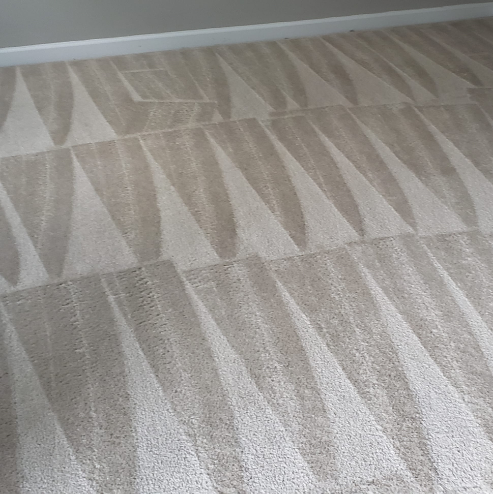 A close-up view of a freshly cleaned carpet with distinct lines by Extreme Carpet Cleaning Atlanta, GA.