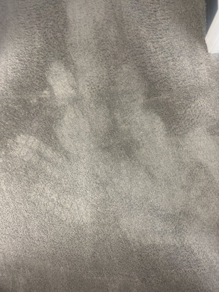 A close-up view of a grey carpet showing fresh cleaning lines from USA Clean Master in Baltimore, MD