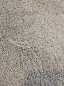 A close-up view of light-colored carpet with a loose thread, showcasing carpet quality by Advanced Flooring in Appleton, WI.