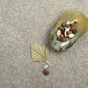 A close-up view of a light textured carpet installed by Wilkins Floorcovering in Livonia, MI