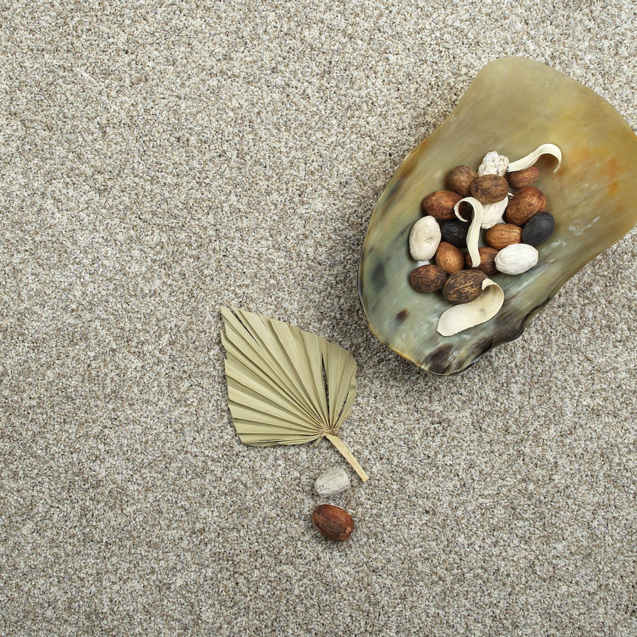 A close-up view of a light textured carpet installed by Wilkins Floorcovering in Livonia, MI