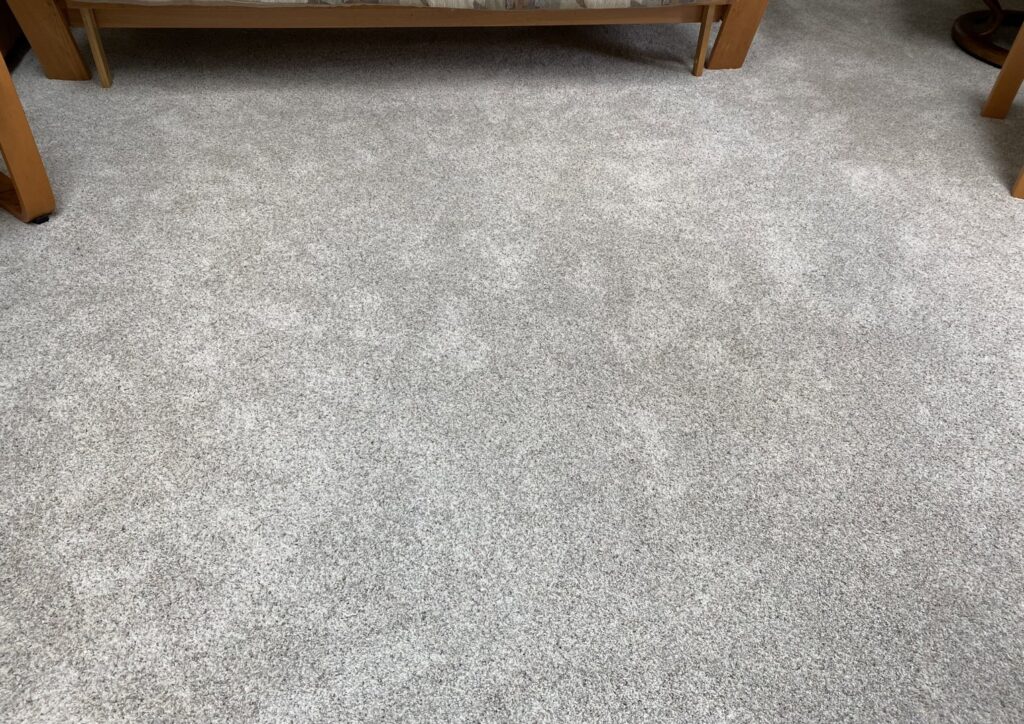 A close-up view of a freshly installed light gray carpet by Hatloes Carpet One Floor & Home in Everett, WA.