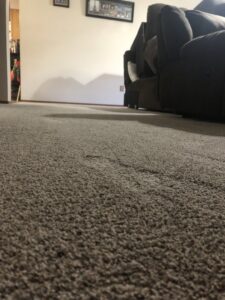 A close-up view of a clean carpet's texture, showing quality work by Alamogordo Carpet Cleaning in Alamogordo, NM.