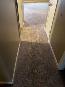 A close-up view of a clean, patterned grey carpet next to a white baseboard by Hampton Carpet Cleaning Pros in Hampton, VA.