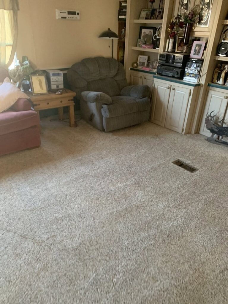 A close-up of freshly cleaned carpet showing distinct cleaning lines by Alamogordo Carpet Cleaning in Alamogordo, NM.