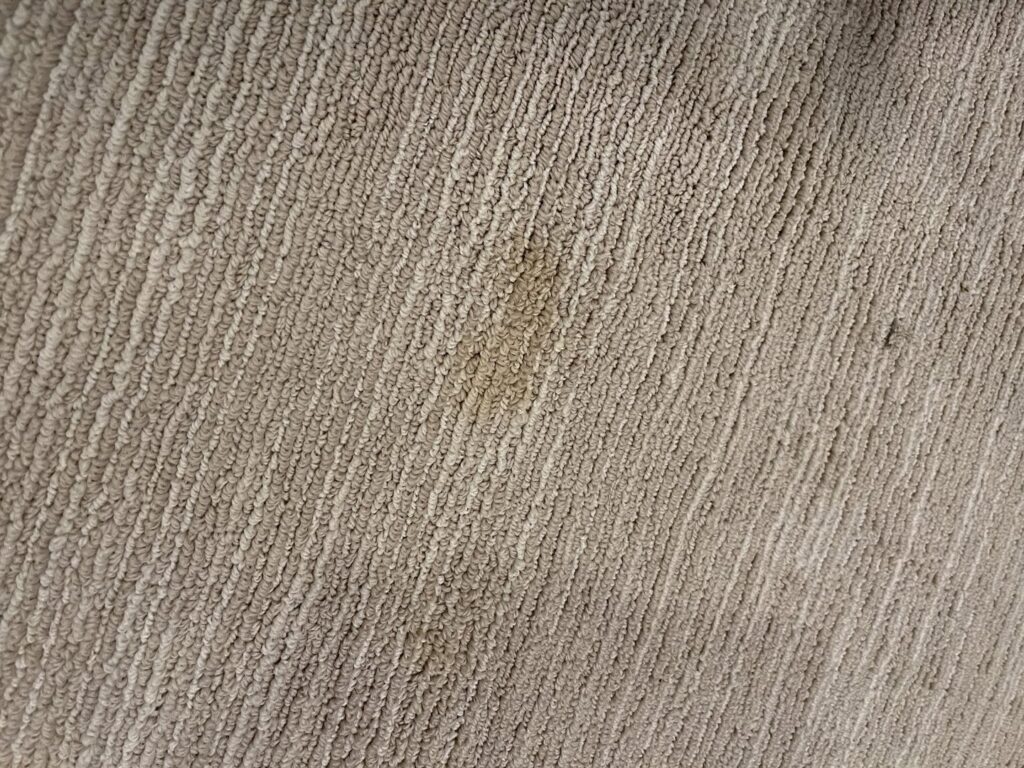 A close-up view of a stained carpet, indicating a need for professional cleaning by Dirt Busters, Inc. in Anaheim, CA.