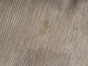 A close-up view of a stained carpet, indicating a need for professional cleaning by Dirt Busters, Inc. in Anaheim, CA.