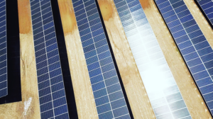 A close-up view of rows of solar panels installed by Altec Building Systems in Point Pleasant, NJ.