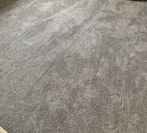 A close-up view of the texture of a grey residential carpet installed by At Home Flooring in Naperville, IL.