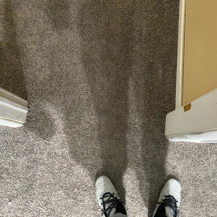 A close-up view of a clean, grey carpeted floor, demonstrating quality work by HK Carpet Doctors in Sterling Heights, MI