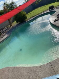 A residential swimming pool with cloudy, greenish water in Mesa, AZ, indicating a need for cleaning by Safe and Save Pool Chemist.