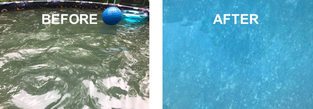 Before and after images of a cloudy, greenish pool water clarified to crystal clear blue by Magic Iron Filter in Madison, WI.