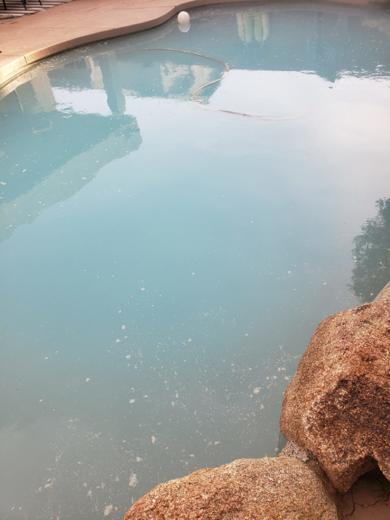 Cloudy pool water with debris, ready for cleaning by Cruz pool service and repair in Lees Summit, MO