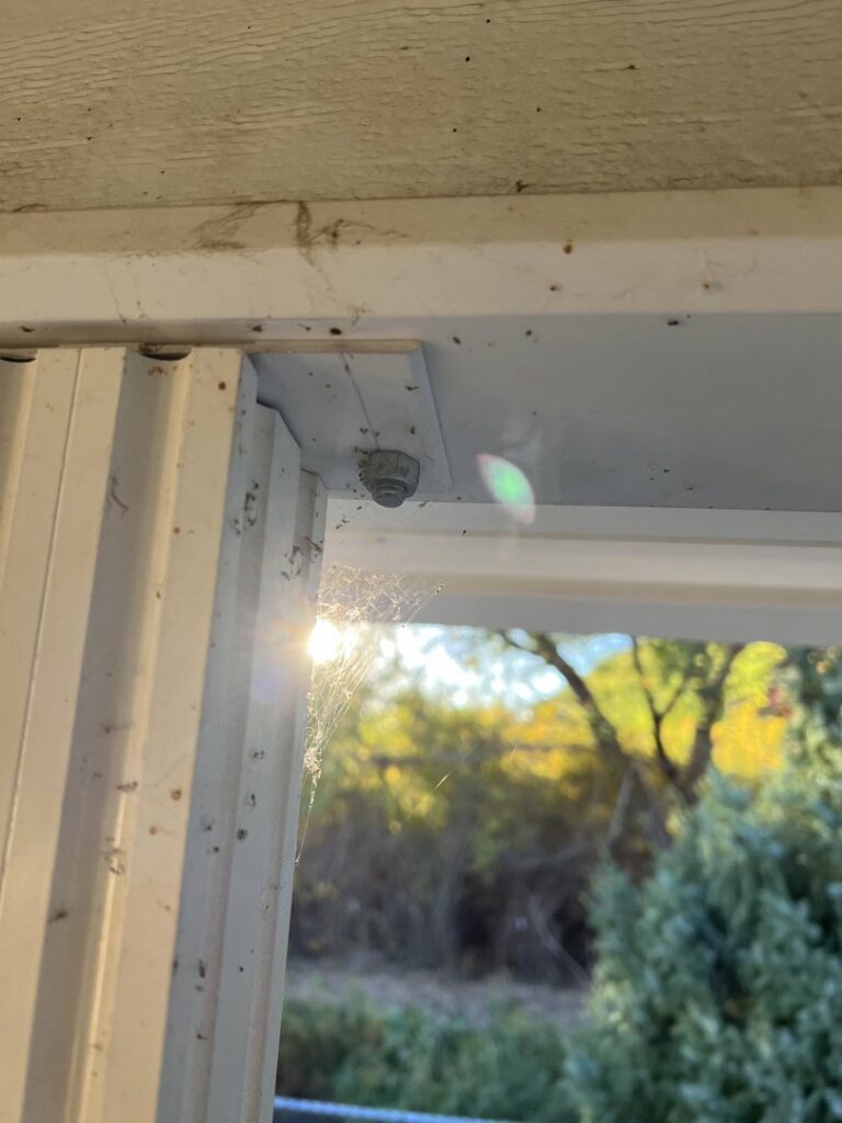 Close-up of thick cobwebs on a window frame, indicating a spider problem that Peak Pest Control can resolve in Ogden, UT.