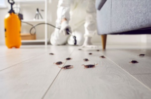 Cockroaches on a floor with a pest control technician spraying in the background by Eco Advantage Termite and Pest Solutions in Fayetteville, NC