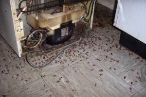 A severe cockroach infestation on the floor behind a refrigerator, indicating a pest control service by Stryker Pest Control LLC in Columbus, OH.