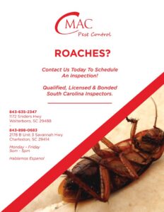 An upside-down cockroach, a clear sign of an infestation managed by CMac Pest Control in Charleston, SC.