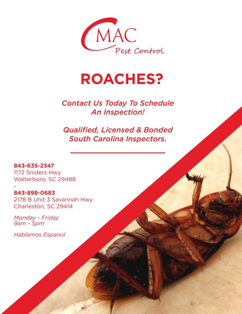 An upside-down cockroach, a clear sign of an infestation managed by CMac Pest Control in Charleston, SC.