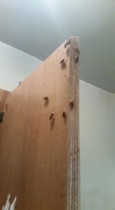 Small cockroaches on a wooden cabinet, showing a pest infestation addressed by Sellers Pest Control in Summerville, SC.