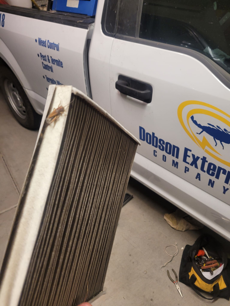 A large cockroach found on a dirty air filter during a pest inspection by Dobson Exterminating Company LLC in Peoria, AZ