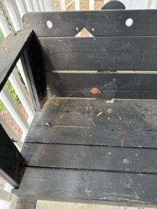A coiled snake on the ground near a house foundation, indicating a wildlife control need for Moxie Pest Control Charlotte in Charlotte, NC.