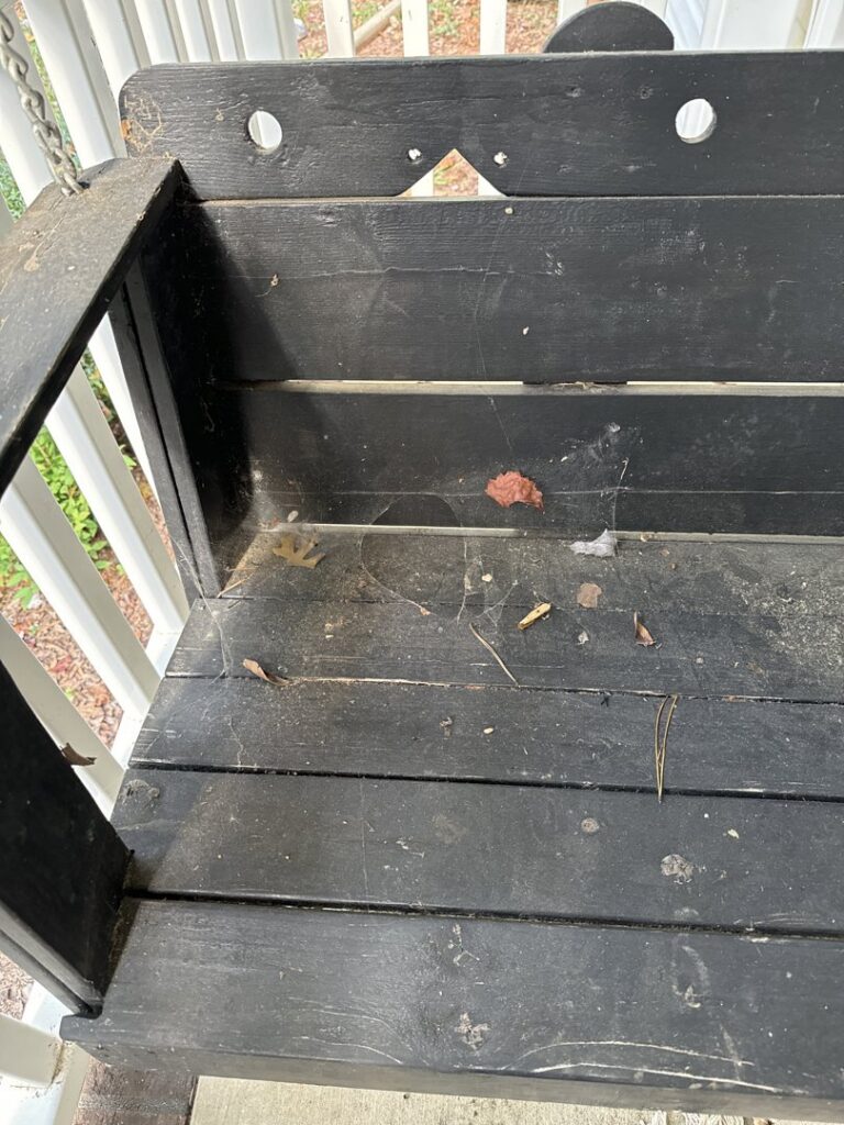 A coiled snake on the ground near a house foundation, indicating a wildlife control need for Moxie Pest Control Charlotte in Charlotte, NC.
