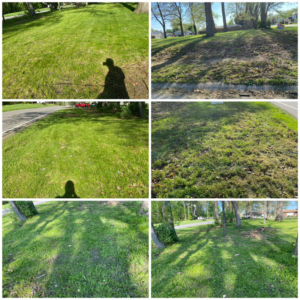 A collage of before and after images showing various stages of lawn care service by Riley's Lawn Care Service in South Bend, IN.