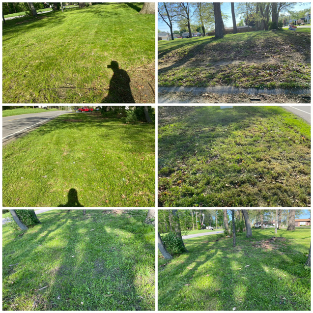 A collage of before and after images showing various stages of lawn care service by Riley's Lawn Care Service in South Bend, IN.