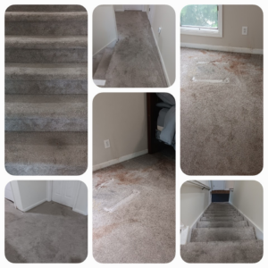 A collage showing dirty carpets and stairs before cleaning service by Clear Vision Carpet & Floor Care, Inc. in Newnan, GA.