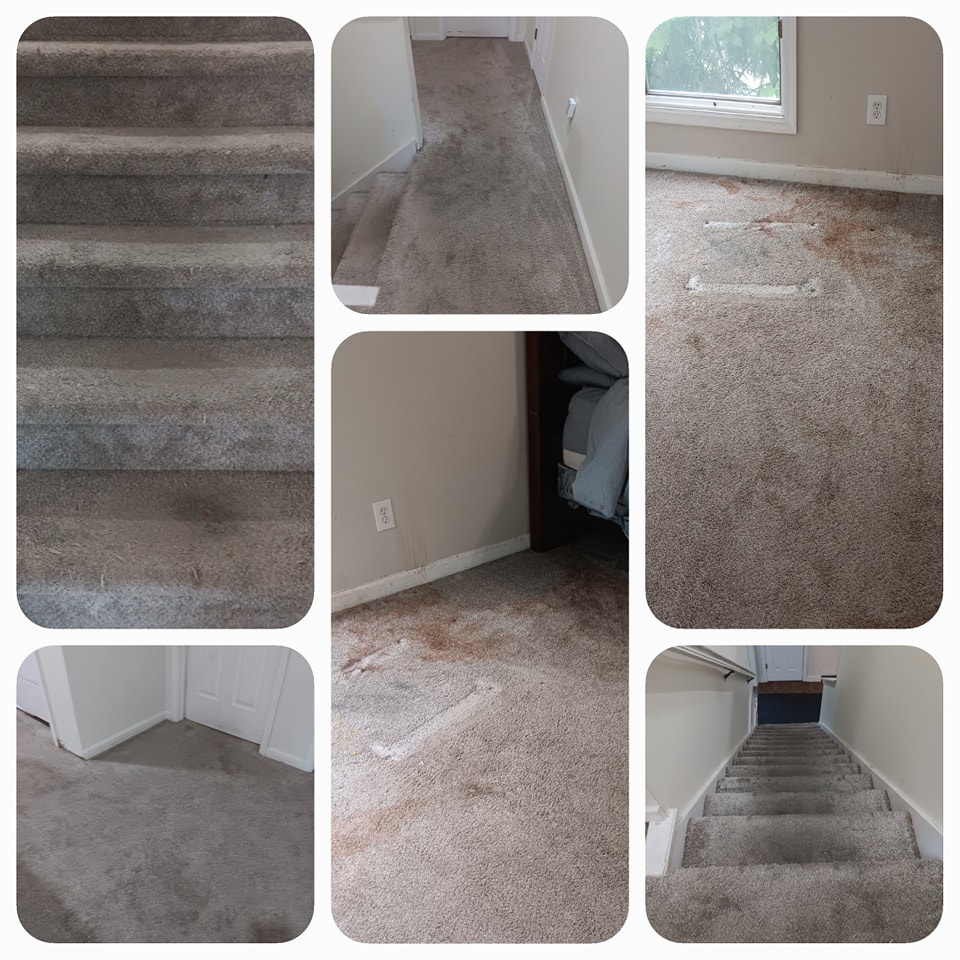A collage showing dirty carpets and stairs before cleaning service by Clear Vision Carpet & Floor Care, Inc. in Newnan, GA.
