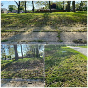 A collage of overgrown lawns and areas with debris, showing the need for professional lawn care from Riley's Lawn Care Service in South Bend, IN.