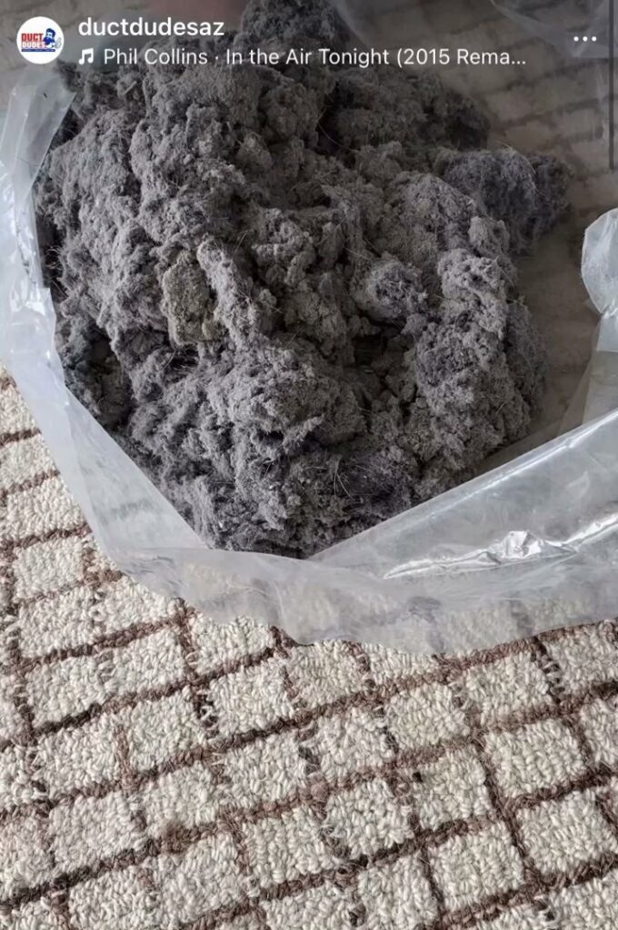 A large pile of lint and dust collected in a clear bag after a cleaning service by Duct Dudes in Scottsdale, AZ.