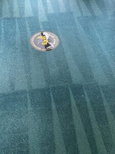 Cleaned commercial blue-green carpet with visible stripes by M3 Cleaning Solutions, LLC in Montgomery, AL.